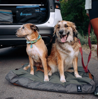 Outdoor Ready Design Del Dia Dog Bed