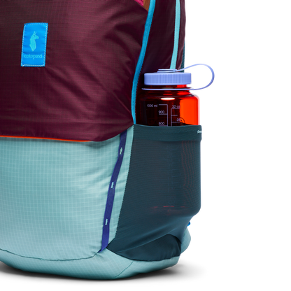Carry On Ready Allpa 26L Daypack - Del Dia