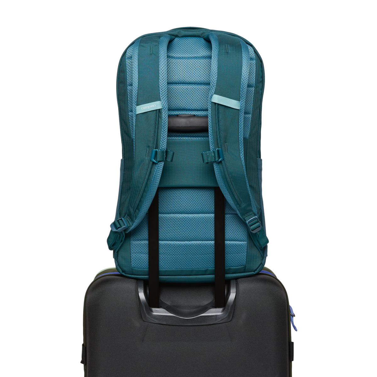 Organized Travel Allpa 26L Daypack