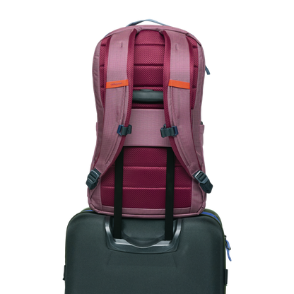 Organized Travel Allpa 26L Daypack