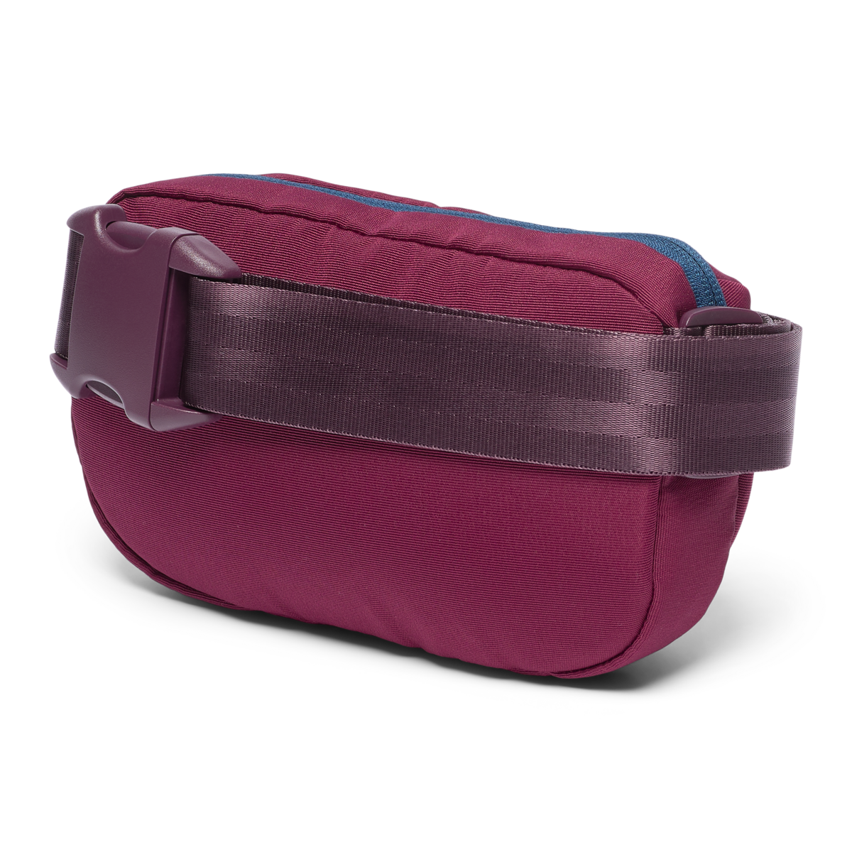 Everyday Carry Todo 2L Hip Pack - Cada Dia