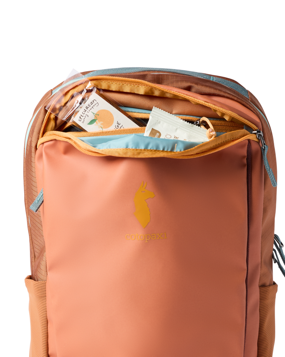 Organized Travel Allpa 18L Daypack
