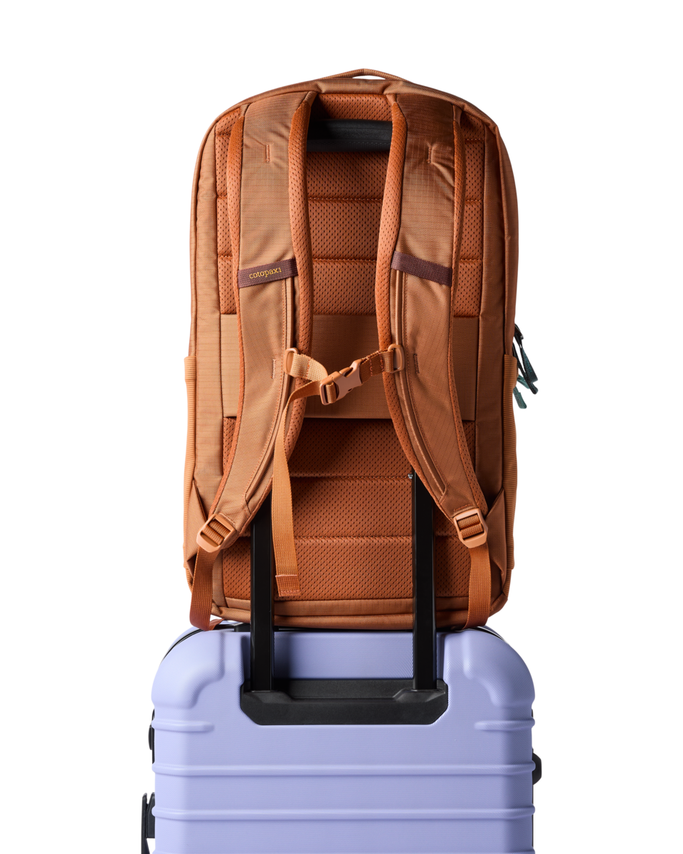 Organized Travel Allpa 26L Daypack