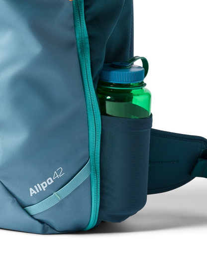 Organized Travel Allpa 42L Travel Pack