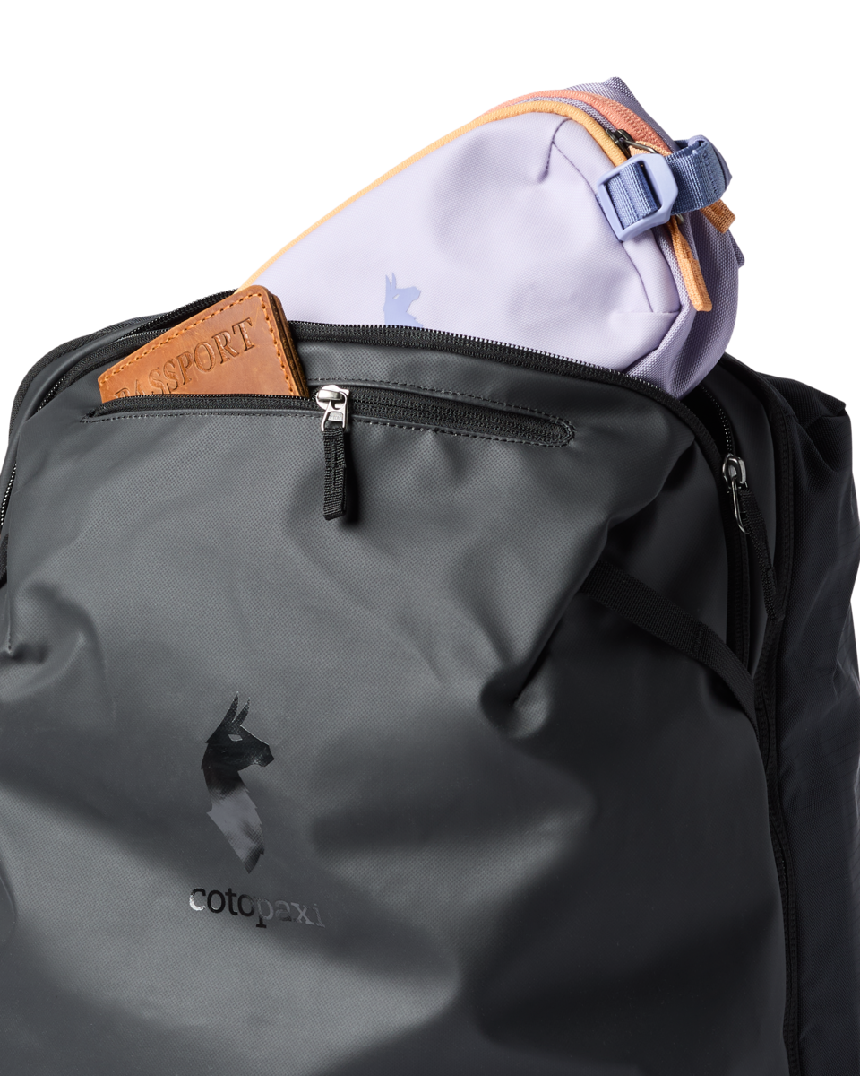 Organized Travel Allpa 42L Travel Pack