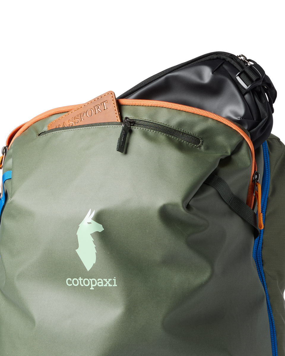 Organized Travel Allpa 42L Travel Pack