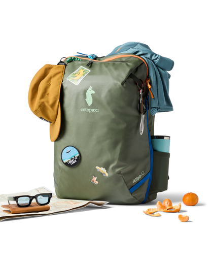 Organized Travel Allpa 42L Travel Pack