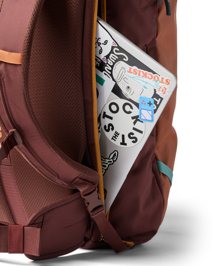 Organized Travel Allpa 42L Travel Pack