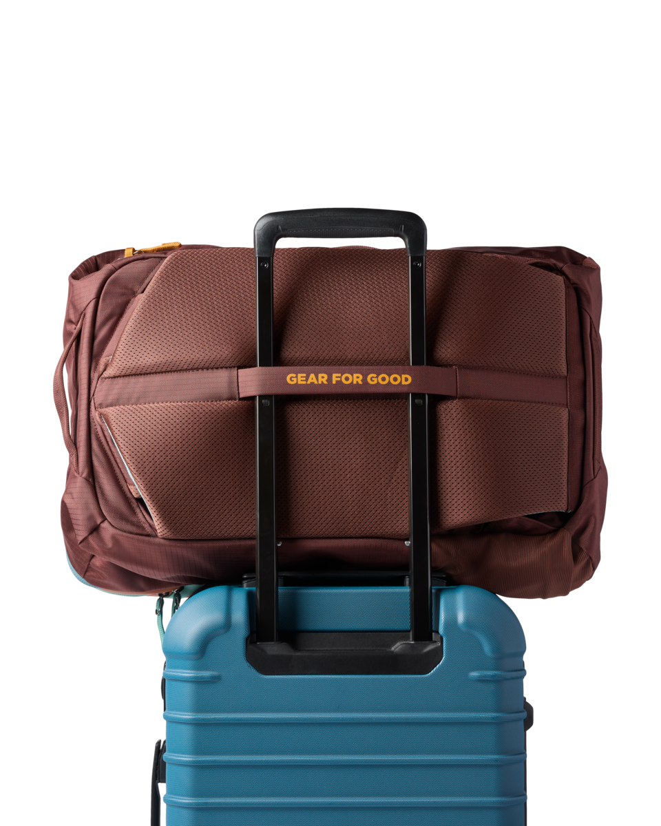 Organized Travel Allpa 42L Travel Pack