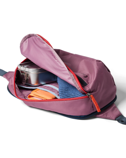 Organized Travel Allpa 50L Adventure Travel Pack