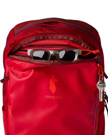 Organized Travel Allpa 18L Daypack