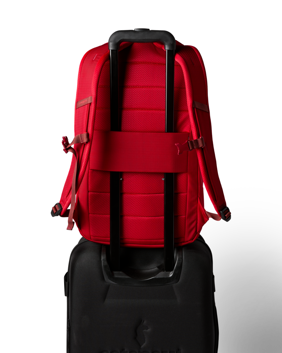 Organized Travel Allpa 26L Daypack
